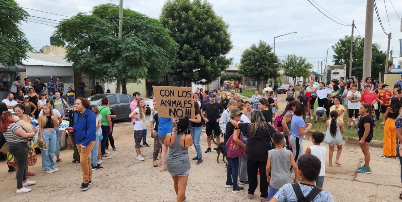 maltrato animal, provinciales, venado tuerto